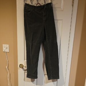 Sonoma Olive Women's Pants